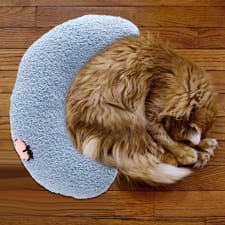 Almohada Para Mascotas Sueño Cómodo Chupete Cama Para El Almohada Para Mascotas Sueño Cómodo Chupete Cama Para El